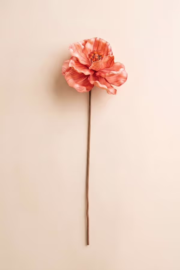 Botanica #9074