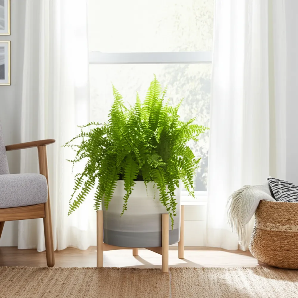 NOLOAK BEIGE PLANTER 14 (IN)