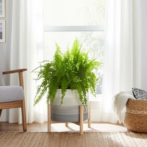 NOLOAK BEIGE PLANTER 14 (IN) 2