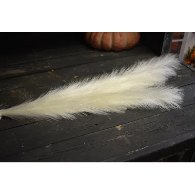 Cream Pampas with 26 stems 45in