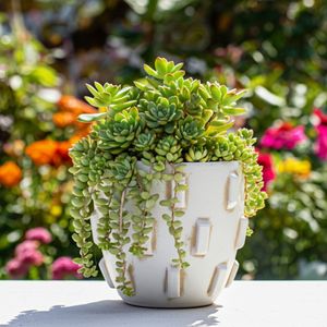 DEVONFORD WHITE PLANTER 10 (IN) 12