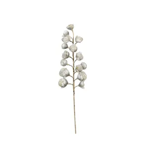 Botanica #2297 4