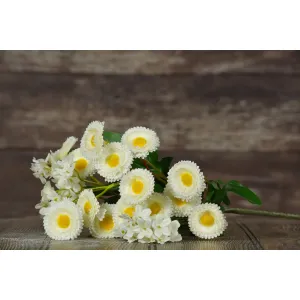 White Daisy Pick 24in 1