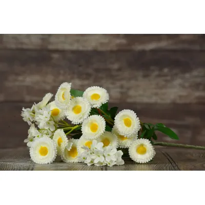 White Daisy Pick 24in