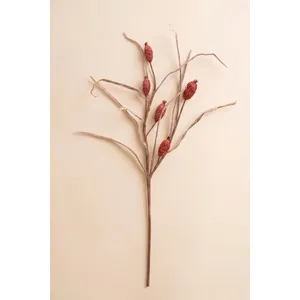 Botanica #2886 3