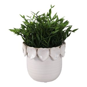 SLATERCLIFF IVORY PLANTER 6 (IN) 3