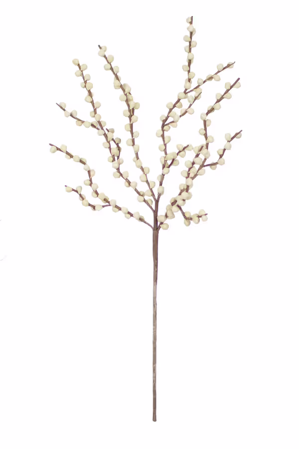 Botanica #2290