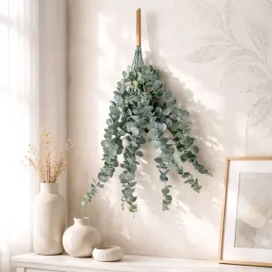 Baby Blue Eucalyptus 22in 2
