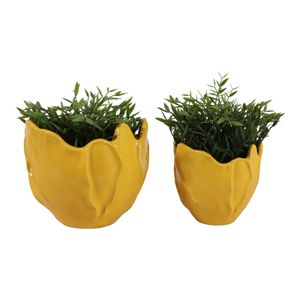 DRYDENRUN SET OF 2 YELLOW PLANTER 7 (IN) 3