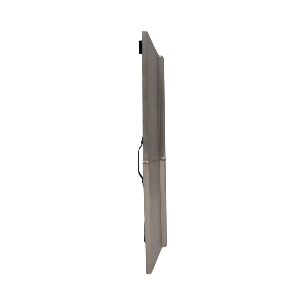 FERNSIDE SILVER MIRROR 20 (IN)
