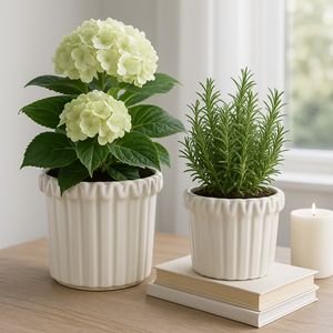 WALTONSTONE SET OF 2 IVORY PLANTER 8 (IN) 10