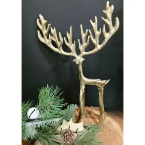 Golden Buck 10x6.5x2in 1