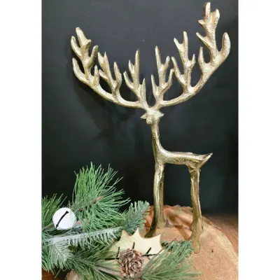 Golden Buck 10x6.5x2in