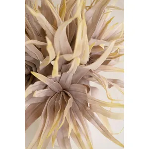 Botanica #2849 3