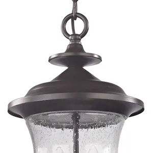 Trinity 9'' Wide 2-Light Outdoor Pendant - Oil Rubbed Bronze 2
