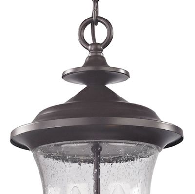 Trinity 9'' Wide 2-Light Outdoor Pendant - Oil Rubbed Bronze