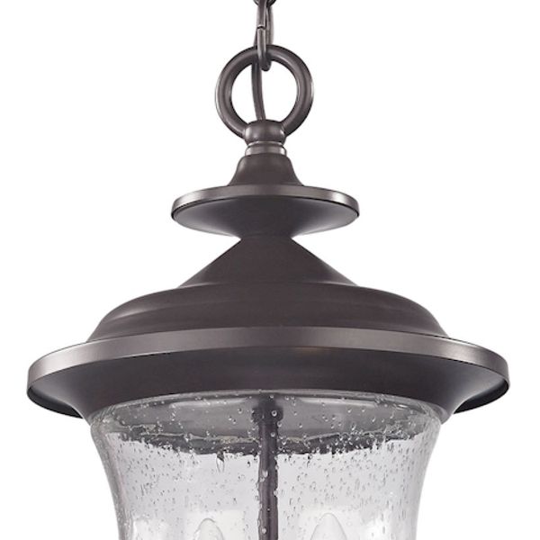 Trinity 9'' Wide 2-Light Outdoor Pendant - Oil Rubbed Bronze