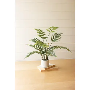 Artificial Fern in a Cement Pot 1
