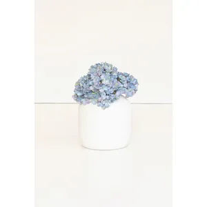 Botanica #2907 2