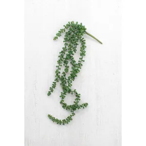 Artificial Necklace Fern Succulent 1