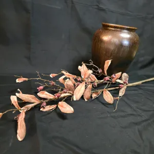 Brownish Autumn Olive Stem 1