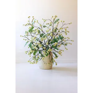 Botanica #3519 1