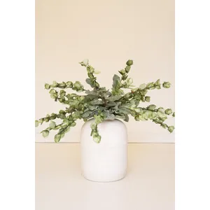 Botanica #3187 2