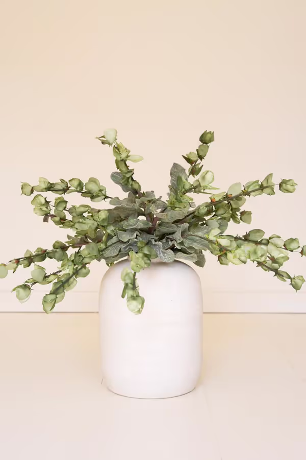 Botanica #3187