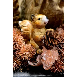 Acorn 6x2x4in 1