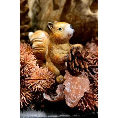 Acorn 6x2x4in