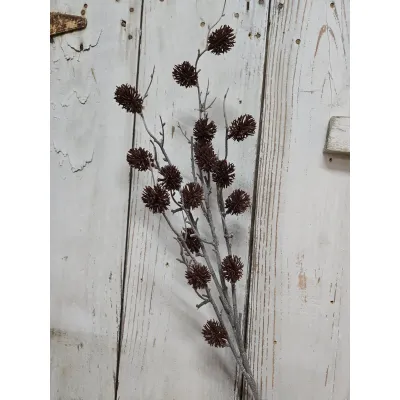 Chestnut Fruit 35in Pick