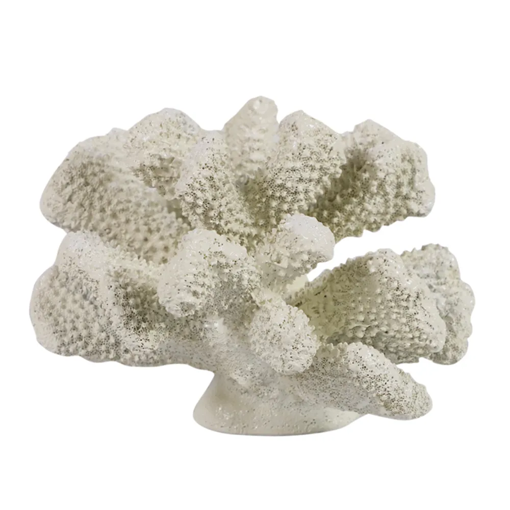 7" WHITE CORAL