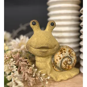 Natural Snail Sm.4.8x5.2in 1