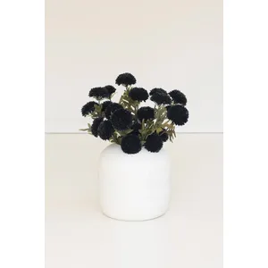Bundle of 7 Black Ball Dahlias 2