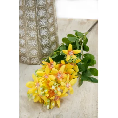 Orange Phlox 36in