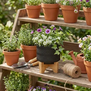 LYNNWELL BLACK PLANTER 5 (IN) 13