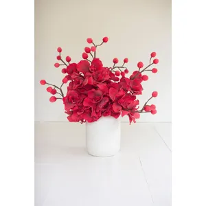 Botanica #2833 1