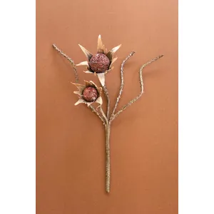 Botanica #2882 1