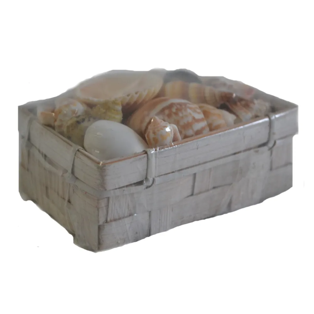 4" MIXED SHELL PACK IN BAMBOO BASKET