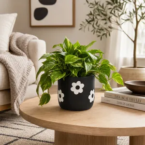 BELDENTON BLACK PLANTER 6 (IN) 10