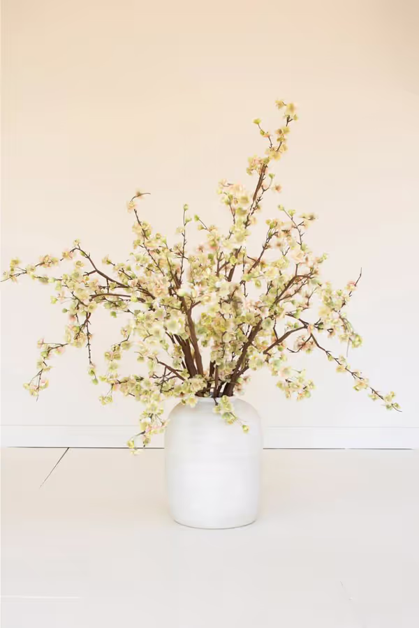 botanica #2850