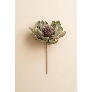 Botanica #3689 3