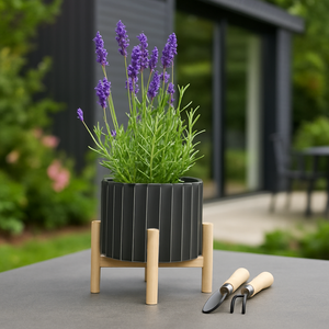CLAXTONFIELD BLACK PLANTER 9 (IN) 2