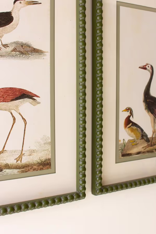 Set of 2 Bird Prints under Glass