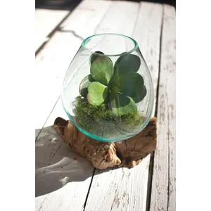 Large Blown Glass Bowl on Driftwood Base 1