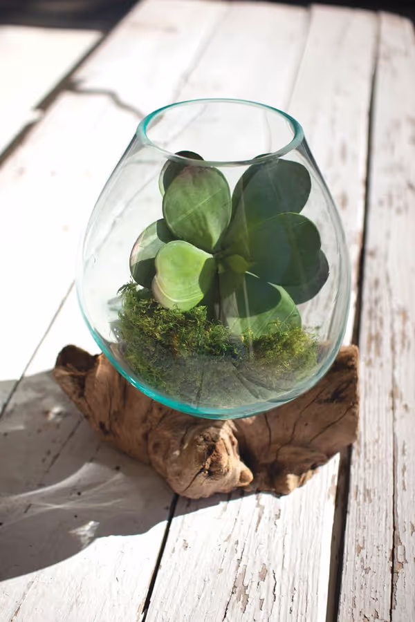 Large Blown Glass Bowl on Driftwood Base