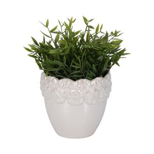 SLATERGATE IVORY PLANTER 6 (IN) 3