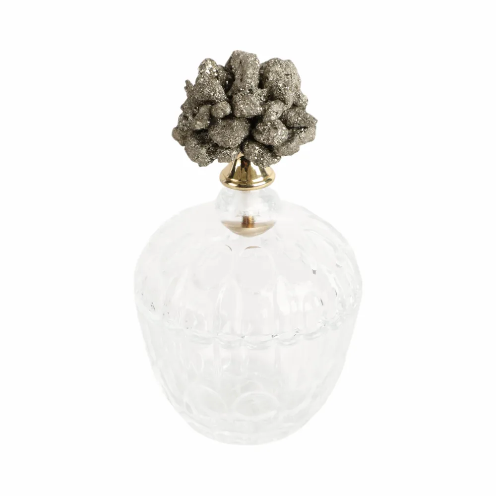 REXROSE CLEAR JAR 7 (IN)