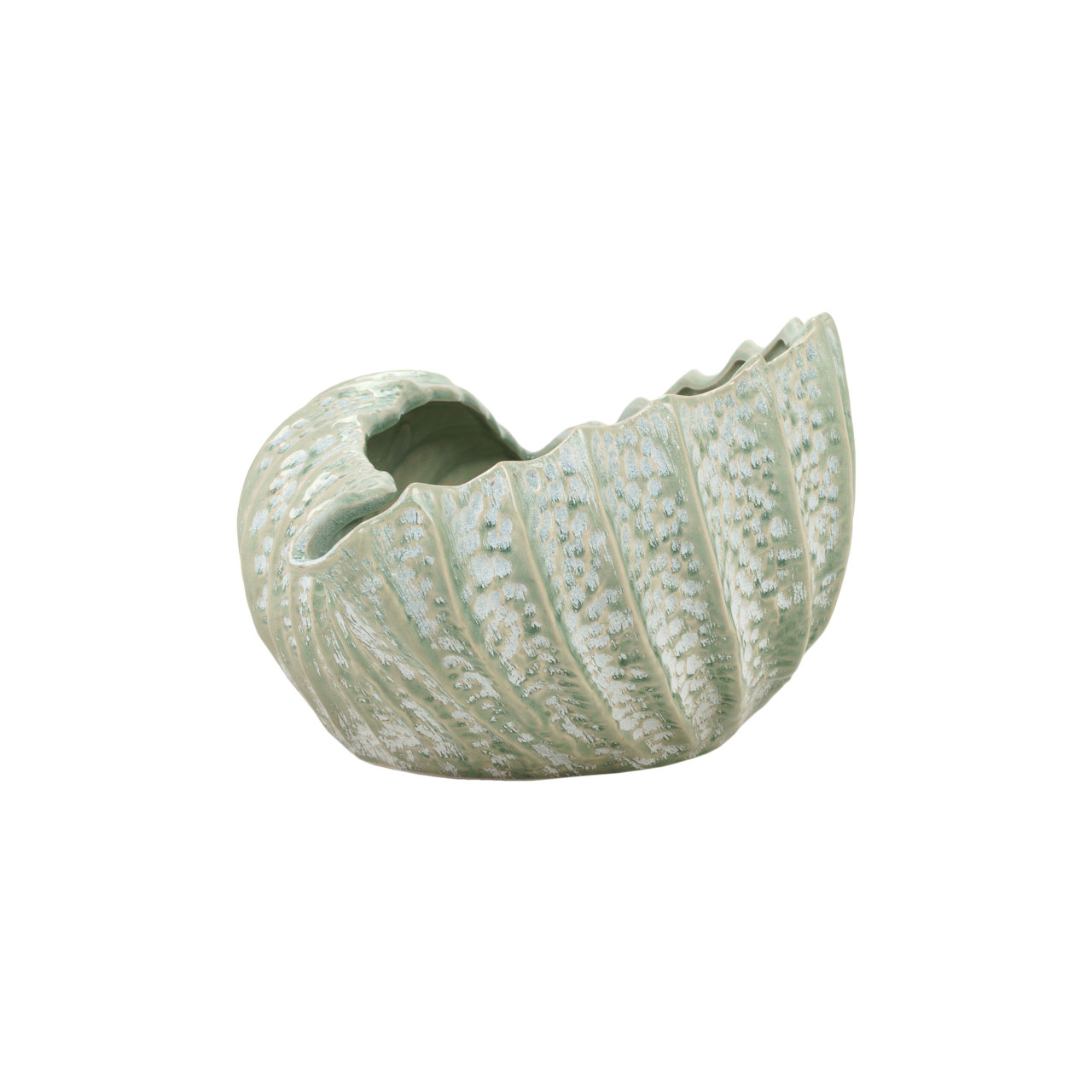 Cintronade Bowl 3