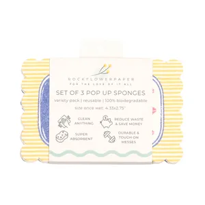 Seaside Sardines Pop-Up Sponge Set 3 7